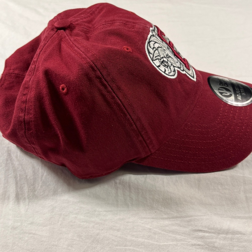 Desert Cactus Fordham University Baseball Hat Adult OS Red NEW Rams Embroidered - Picture 5 of 9